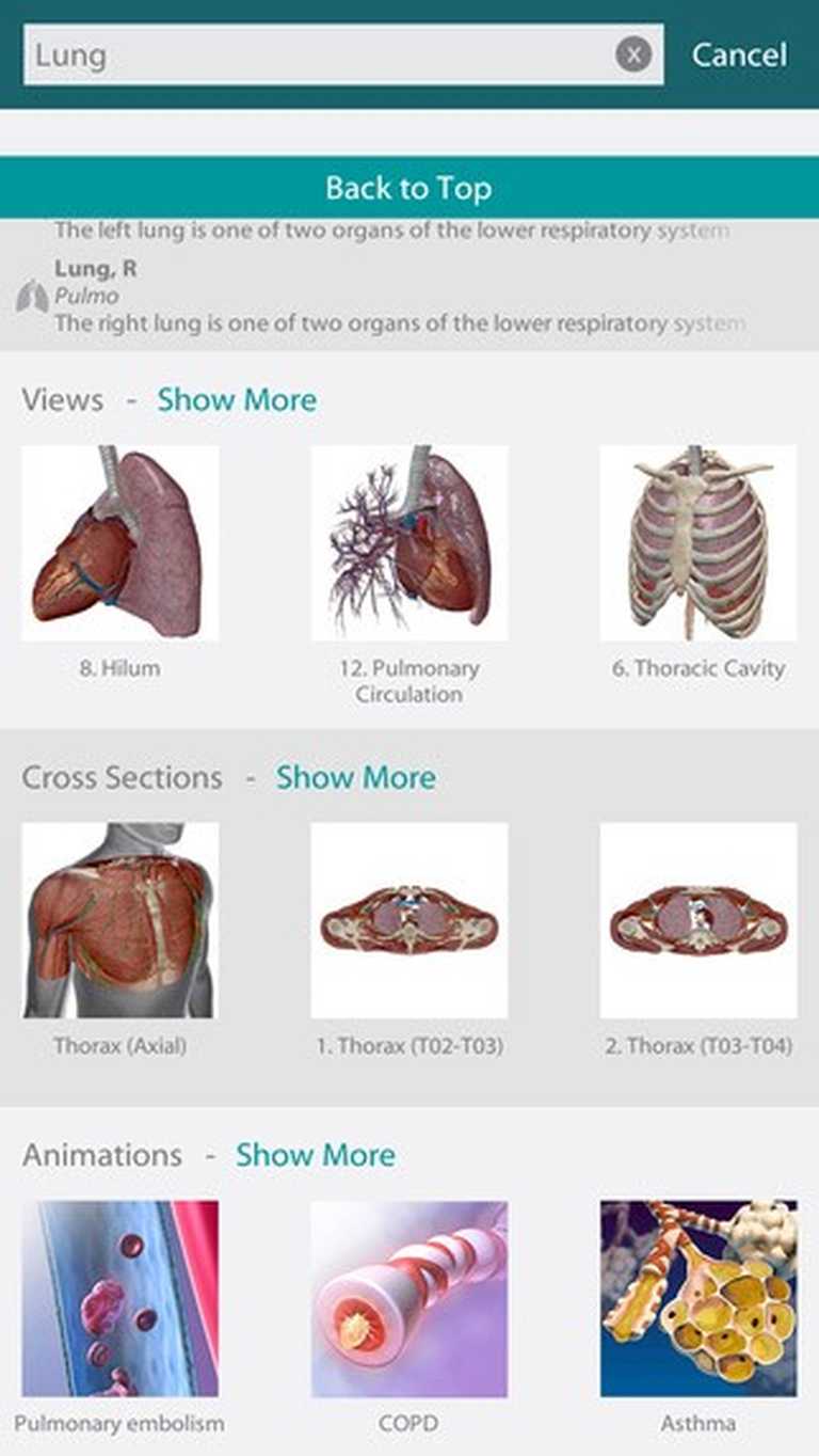 Human Anatomy Atlas 2025